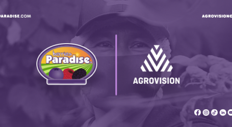 Berries Paradise y Agrovision se unen para comercializar sus berries de manera directa en Norteamérica