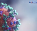 Novedoso carbohidrato antiviral candidato a fármaco actúa mediante la inhibición de la Galectina para bloquear el coronavirus SARS-CoV-2