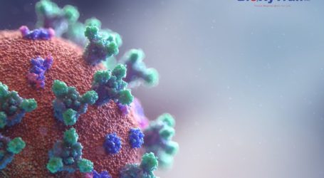 Novedoso carbohidrato antiviral candidato a fármaco actúa mediante la inhibición de la Galectina para bloquear el coronavirus SARS-CoV-2